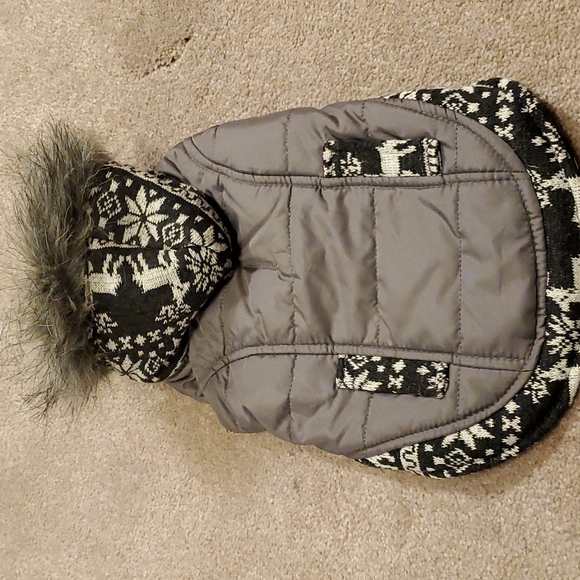 dog apparel Other - Dog jacket with faux fur hoodie